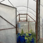 DIT greenhouse